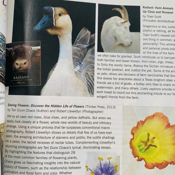 Mary Janes Farm Magazine Lot of 2 August - Octobter 2019 Summer Magic Nesting - Picture 7 of 8